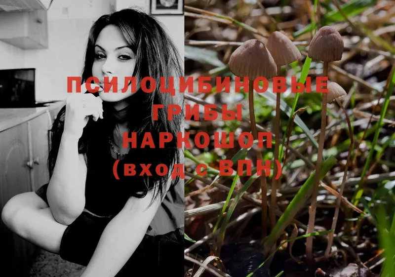 Галлюциногенные грибы Magic Shrooms  Уварово 